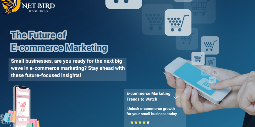 The Future of E-commerce marketing