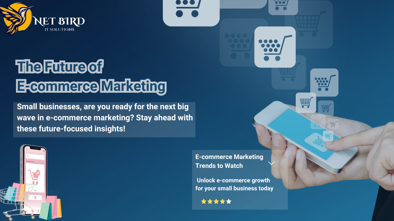 The Future of E-commerce marketing