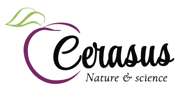 Untitled-Photoroom-1